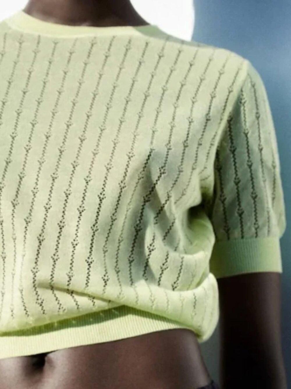 Zara Pointelle Knit Short Sleeve Sweater XS